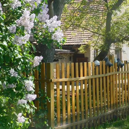 Na Vejminku V Dlazkovicich Appartement